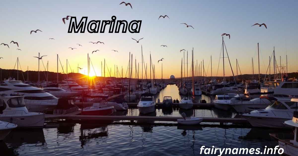 Marina