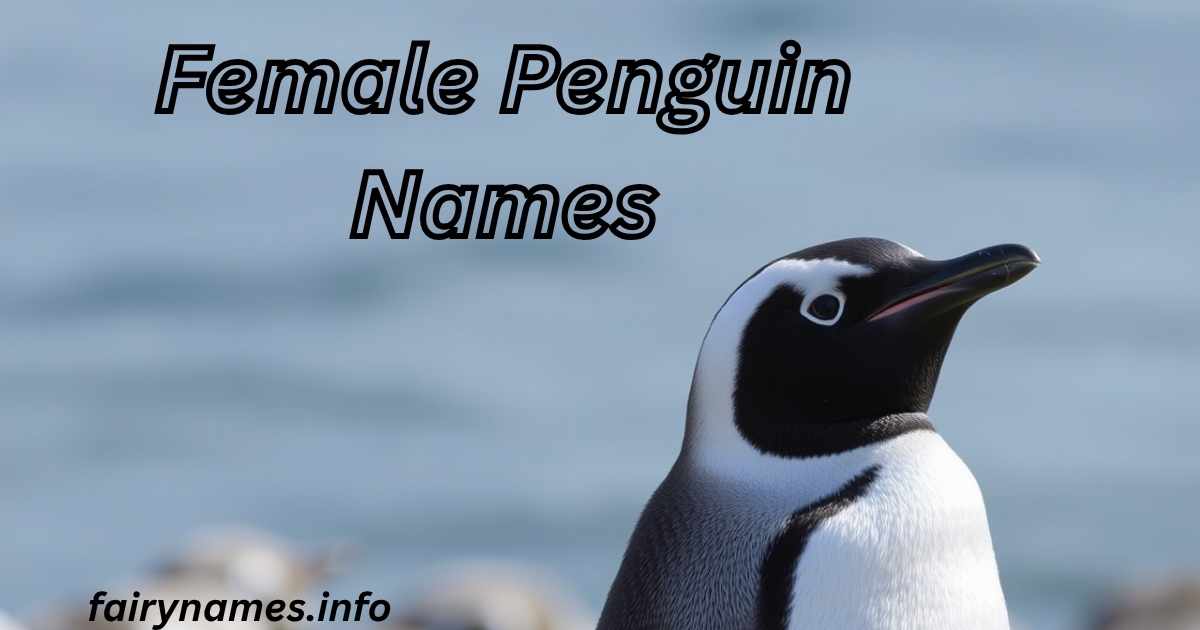 Female Penguin Names