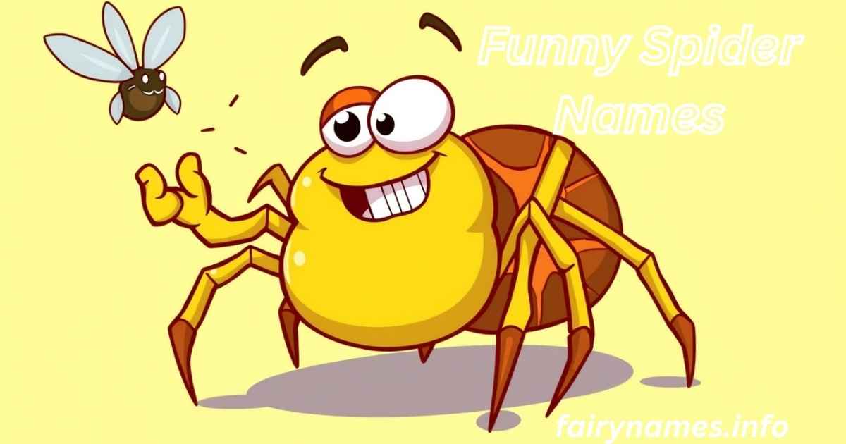 Funny Spider Names