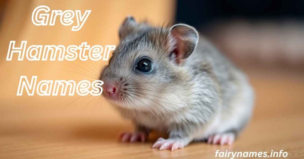 Grey Hamster Names