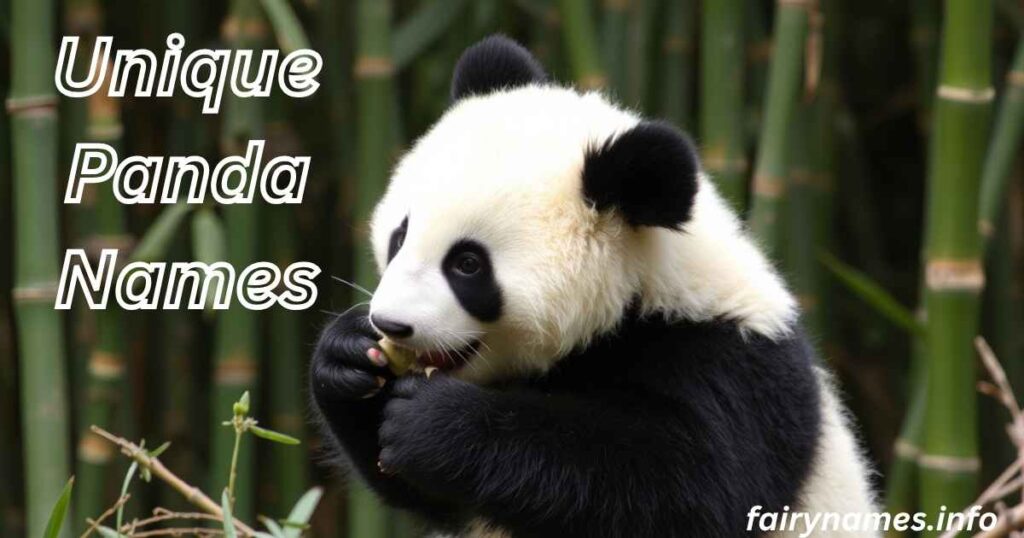 Unique Panda Names